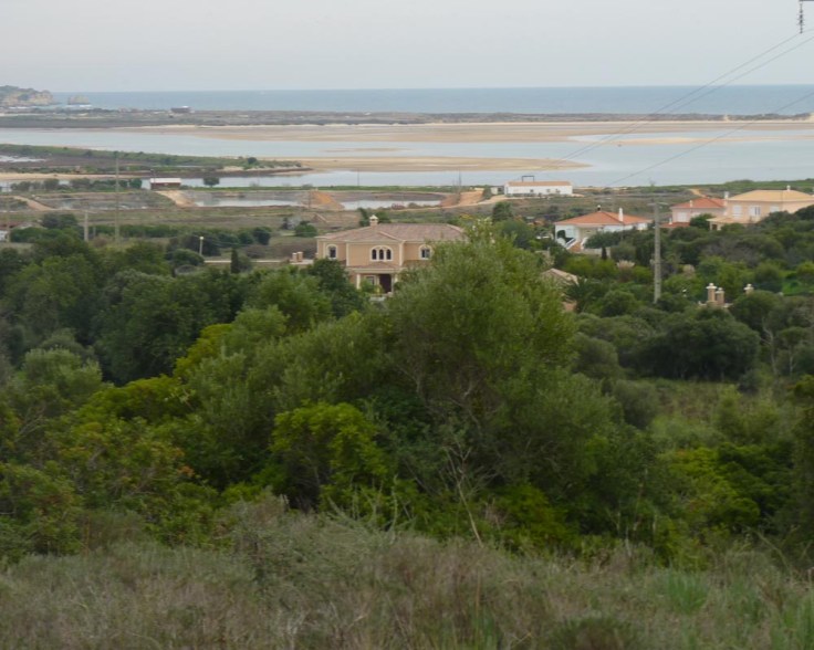 View from the St John's bread Geocache