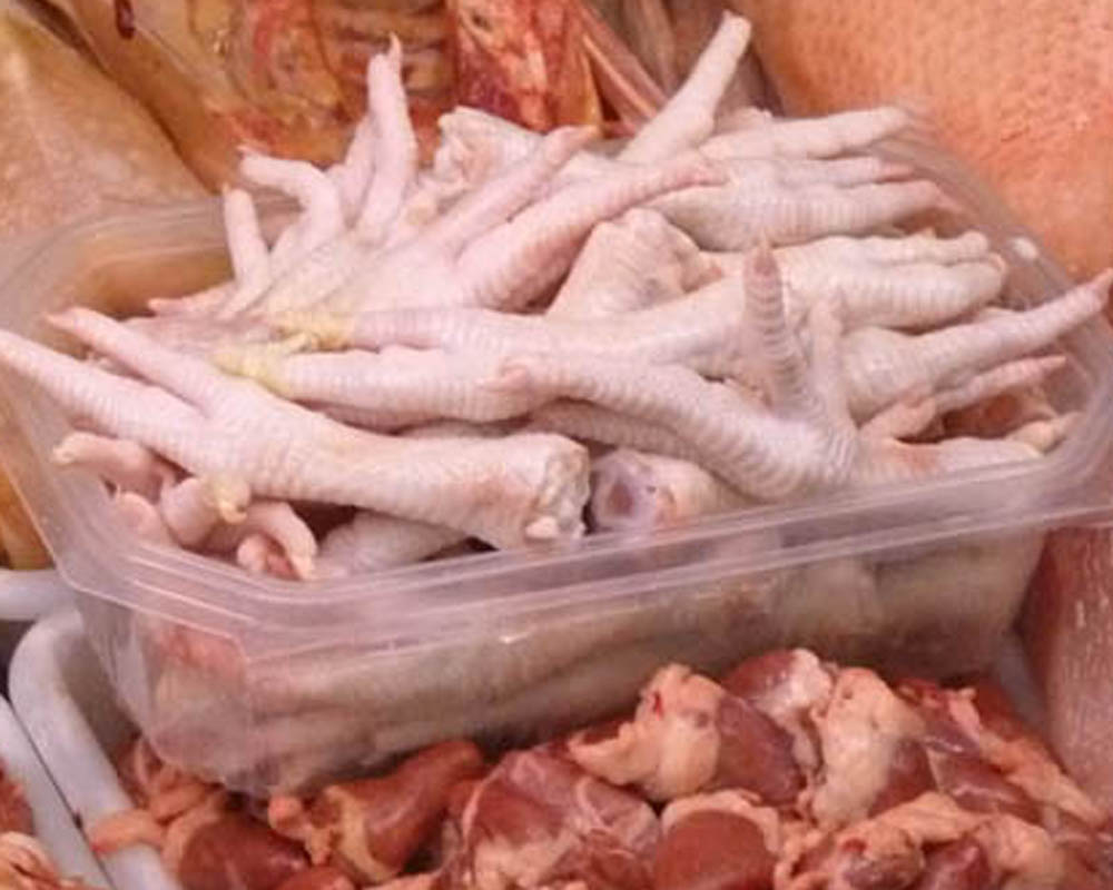 Chickens feet
