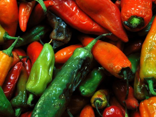 Are you a Chili Virgin?