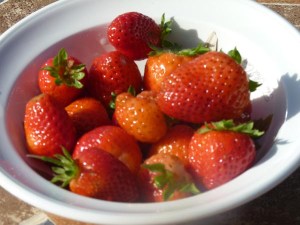 Yummy, my first crop of strawberries 14/04/11