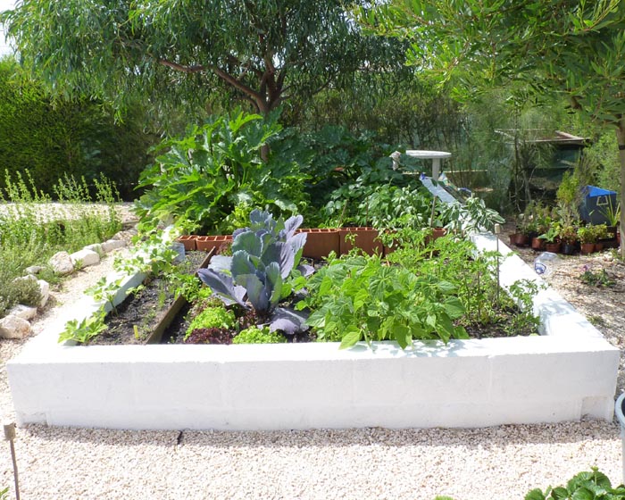 My Raised Vegetable Garden 14/05/11