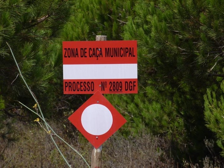 Municipal Hunting Designated Area