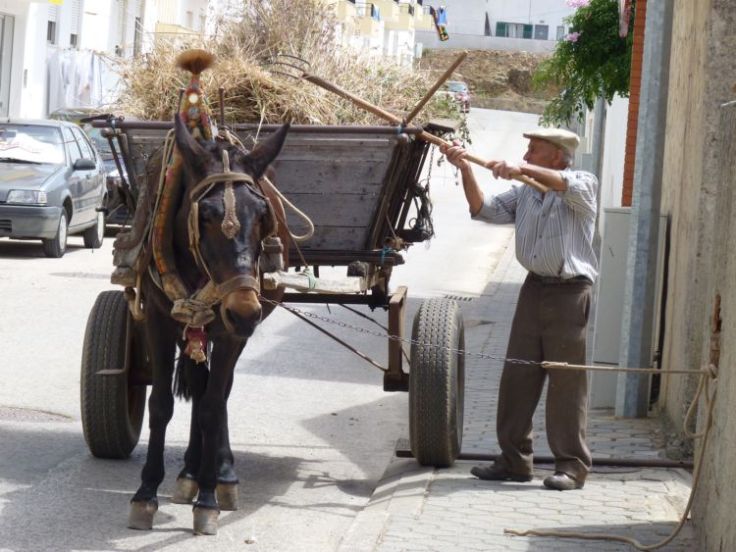 Everyday life in the Algarve, but not as we know it!