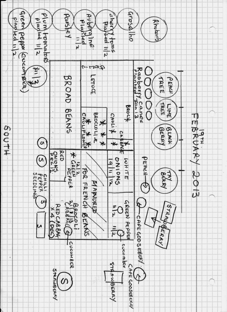 Plan of my Vegetable area 19/02/13