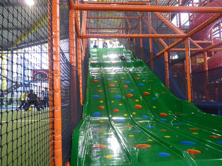 You must be pigging joking!