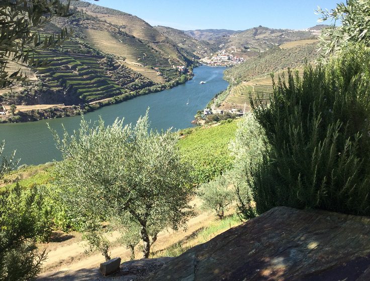 View of Douro River in Portugal