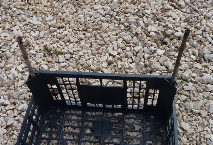 Cut four sticks of equal size to insert in holes