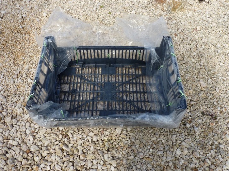 Cover top of crate with plastic sheet