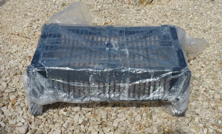 Cover crate with clear plastic