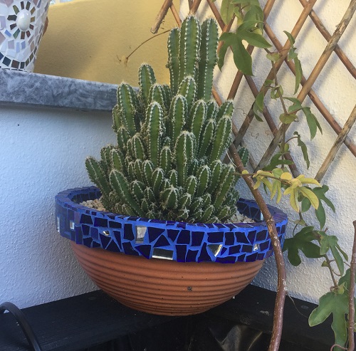 Terracotta dish with blue mosaic tiled border