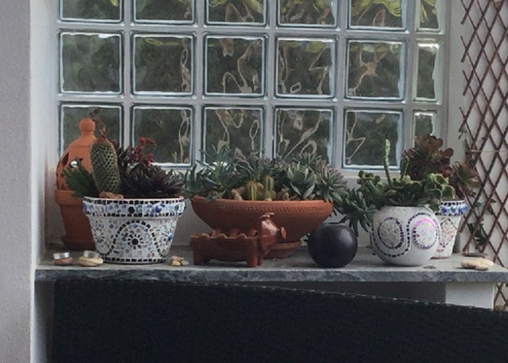 mosaic pot succulent display