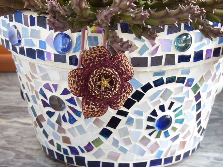 mosaic pot