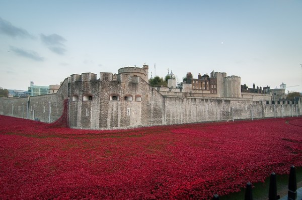 Carpet of Poppies, Tower of London