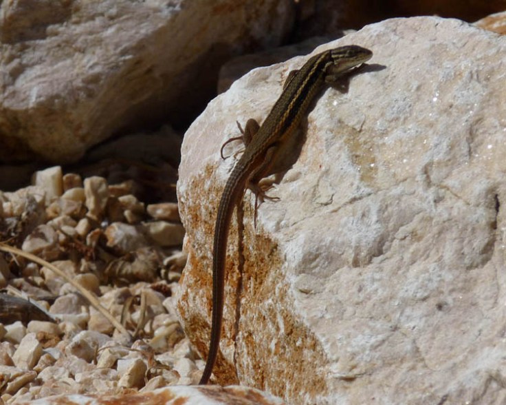 What's on the menu today? What's on the menu today?