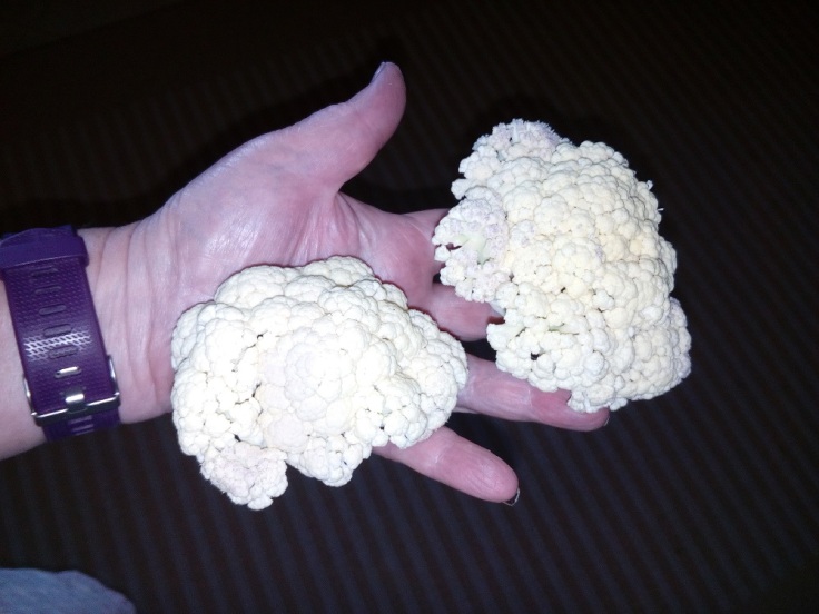 Tiny cauliflowers - was it worth the effort?