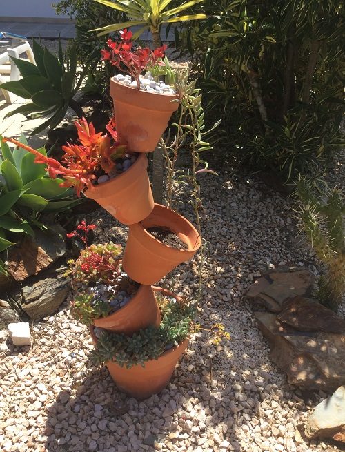 Terracotta Pot display