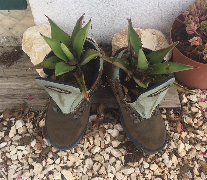 Old trainers upcycled to plant containers