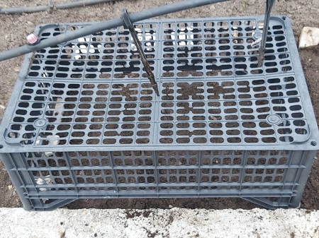Plastic crates deter the birds
