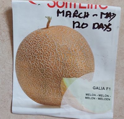 Galia F1 Seeds