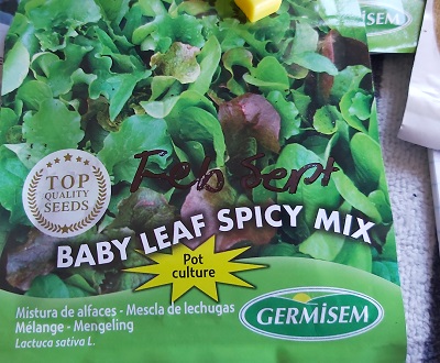 Baby leaf spice mix lettuce