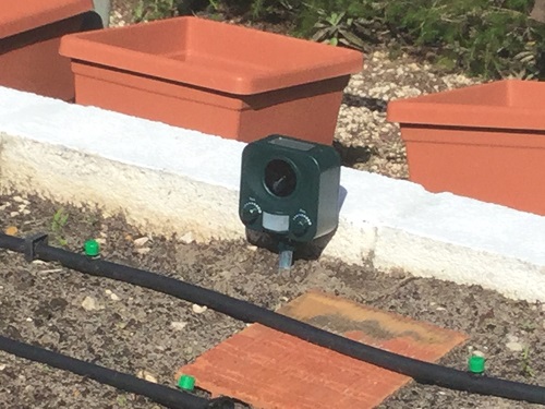 Pestbye® Twinpack Solar Waterproof Cat Repellent