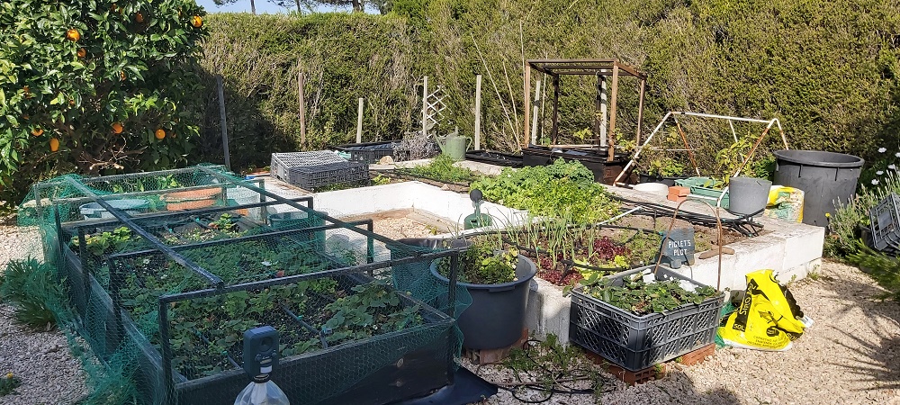 Piglet's raised vegetable bed