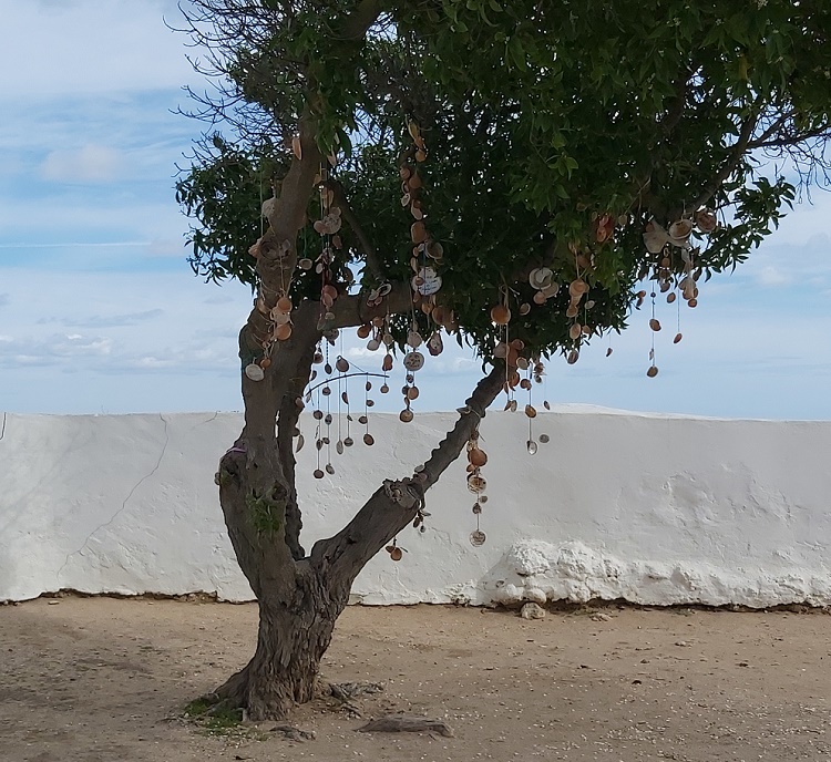 Shell Tree at The Chapel of Our Lady of the Rock. Proches