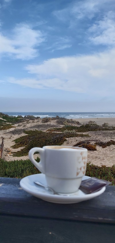 View from Oze cafe at praia de monte clerigo