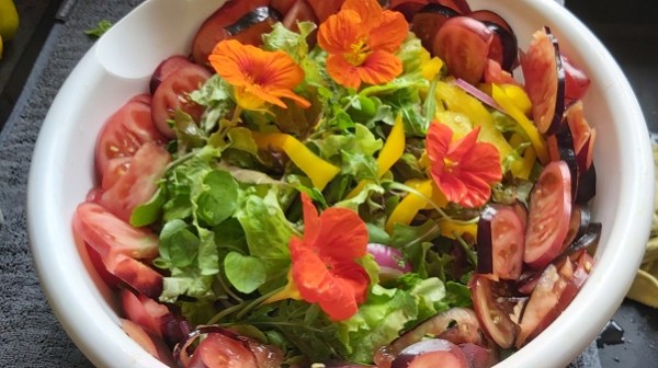 Nasturtium flowers in Salad