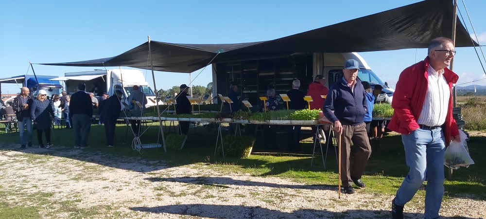 Rogil Market 24th October 2024