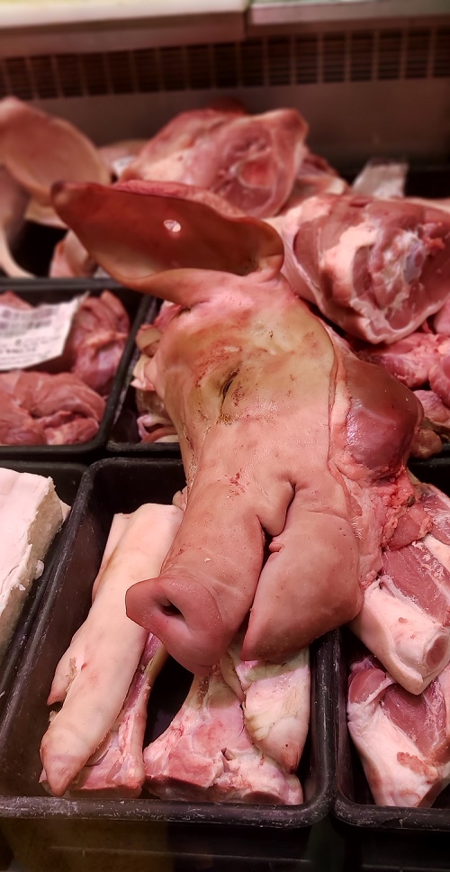pigs head