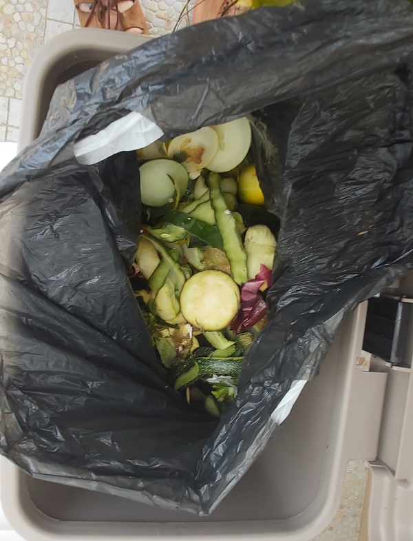 MAking your own liquid fertilizer